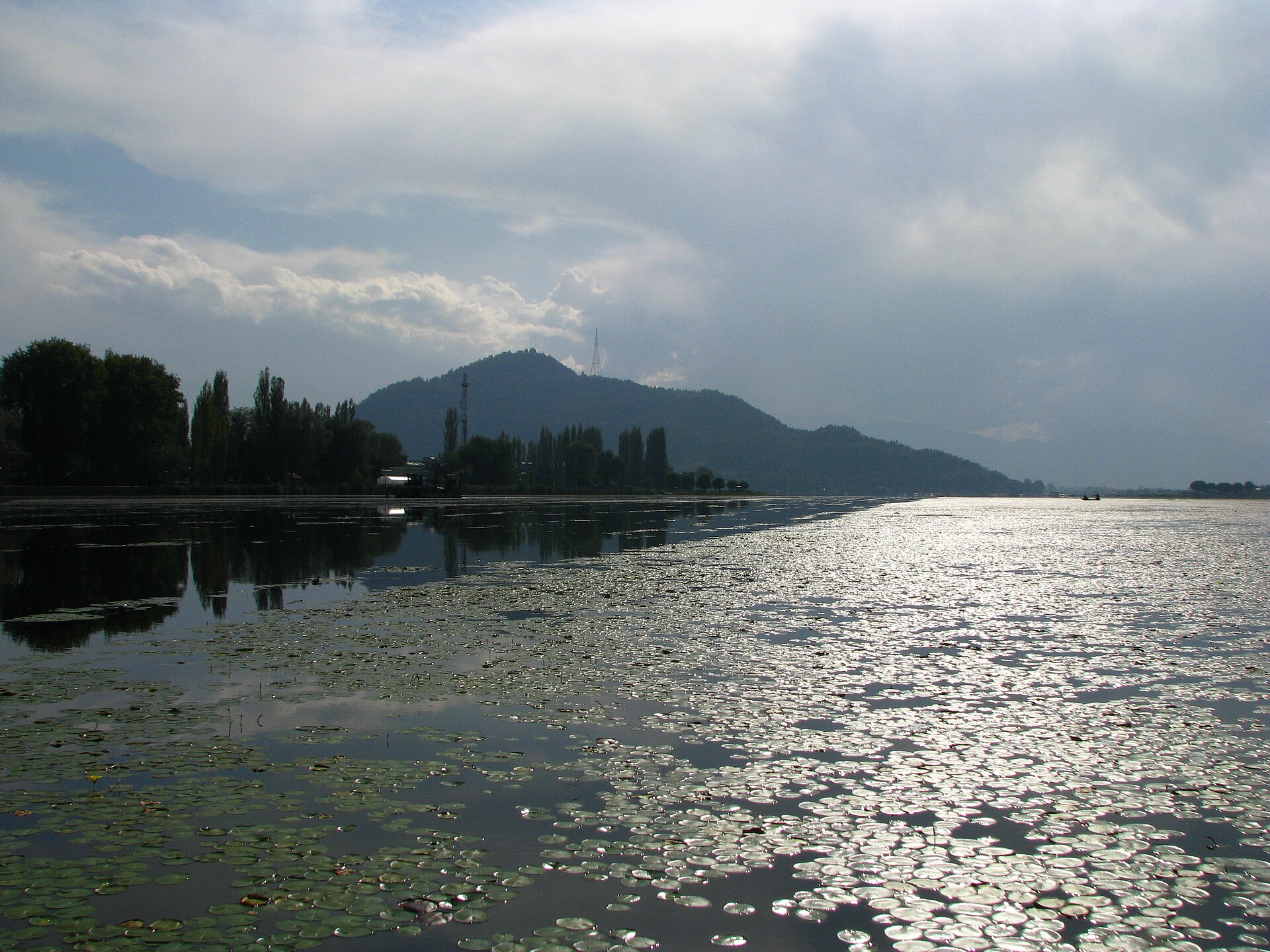Dal Lake, Srinagar